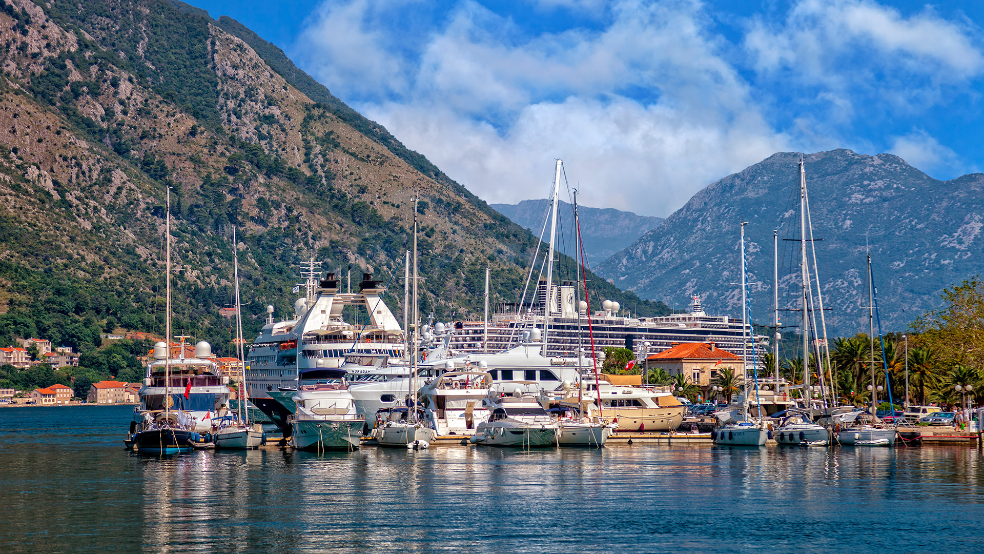 Kotor - video review of the marina